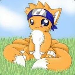 foxxxy1 avatar