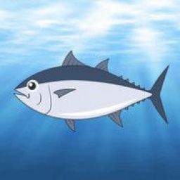 fish46493 avatar