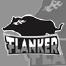 flanker1 avatar