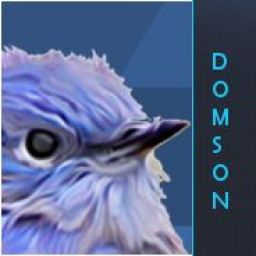 dominikson avatar