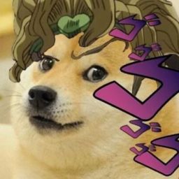 SrDoge avatar