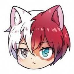 HopeTodoroki avatar