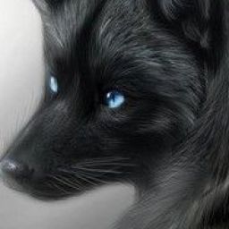 black_fox1 avatar