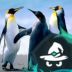 Pingvin250 avatar