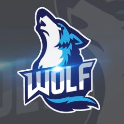 Wolfpower_I avatar