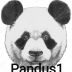 Pandus124 avatar
