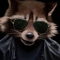 cool_raccoon avatar