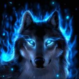 wolfer3 avatar