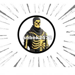 seba2573 avatar