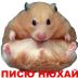 Xomyak_Xoma avatar