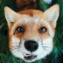 FoxLiveFox avatar