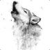 notwolf1 avatar