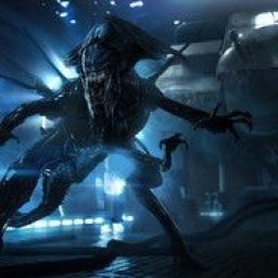 predator29 avatar
