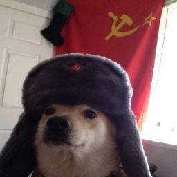 good_comrade avatar