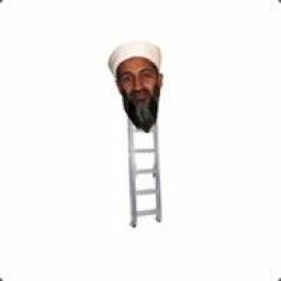 ousama_bin_ladder_pvprocom avatar