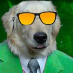 profesorperro_facha_peruano avatar