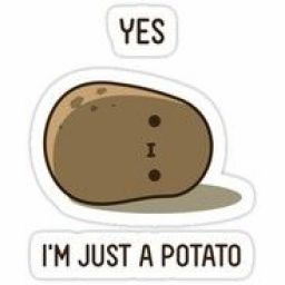 a_strange_potato avatar