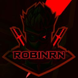 RobinRNYouTuber avatar