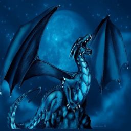 Dragonier84 avatar