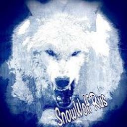 SnowWolfRusYT avatar