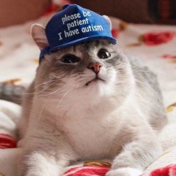 sad_cat2 avatar