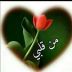 saidi_mohammed avatar
