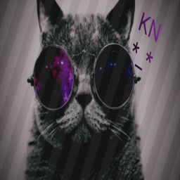 Kel7Nencher avatar