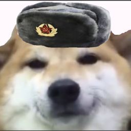 DoggoThunder avatar