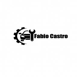 fcastro21 avatar