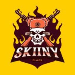 skiinyflack avatar