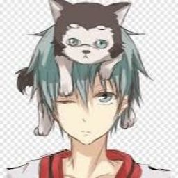 1Kurokochi1 avatar
