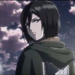 mikasa_ackerman1 avatar