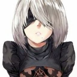 2b___the_waifu avatar