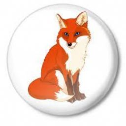 MsFoxes avatar