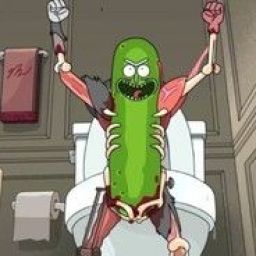pickle_rick15 avatar