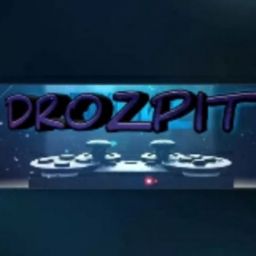 12DROZPIT34 avatar