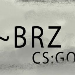 Brz326 avatar