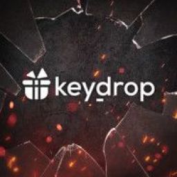 krokiecikpl1_keydropcom avatar