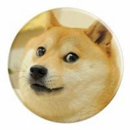 duvitas_edrey_doge avatar