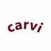 carvi0621 avatar