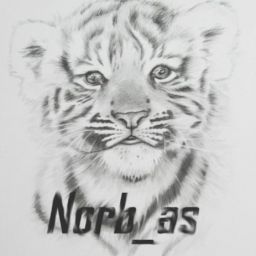norbas avatar