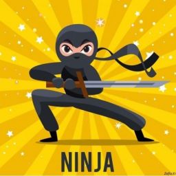 Ninja_123 avatar