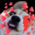 doggonis avatar