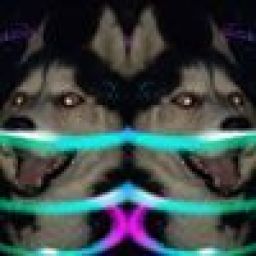 Wolfik1653 avatar