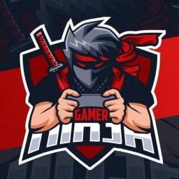 Gamer_NinjaYT avatar