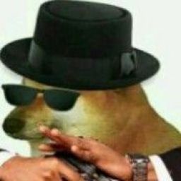 chems_mafioso avatar