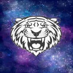 TygrysekPOLSKA avatar