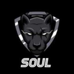 soul29 avatar