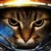 cat_marine1 avatar