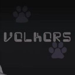 volkors avatar